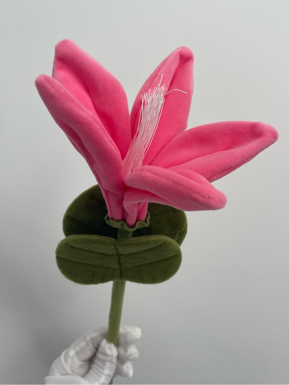 CJ Hendry Flower Market Hong Kong Native - 1 Bauhinia Bloom